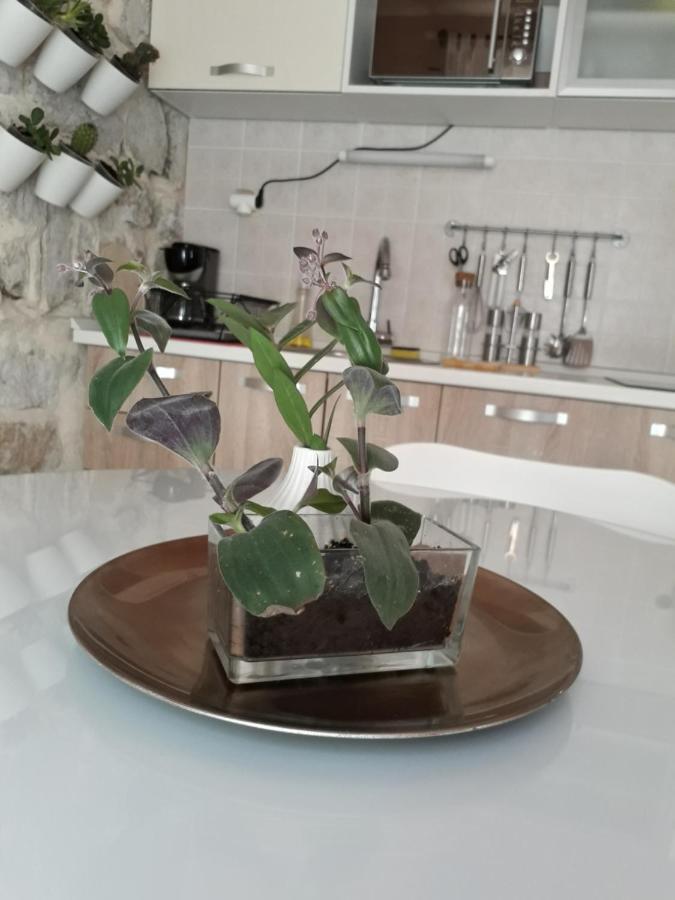 Leut Apartment